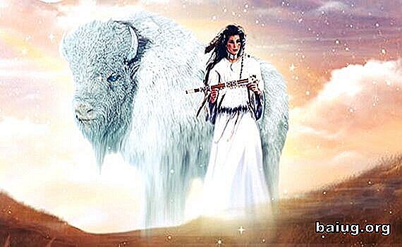 Kvinnens hvit bøffel, en fantastisk legende av amerikanske indianere Curiosities